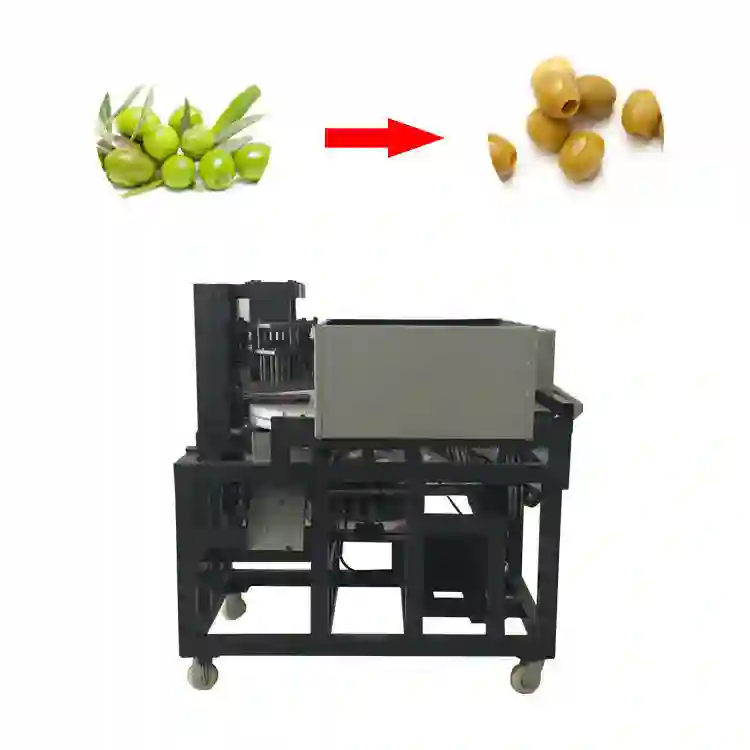 Olive Pitting Machine: The Smart Solution for Food Processing Businesses – Direct from MSDARAKNCHINA
